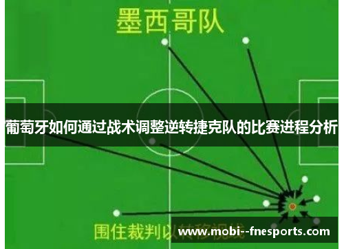 葡萄牙如何通过战术调整逆转捷克队的比赛进程分析