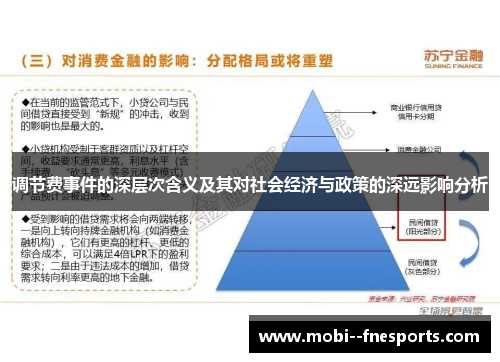 调节费事件的深层次含义及其对社会经济与政策的深远影响分析