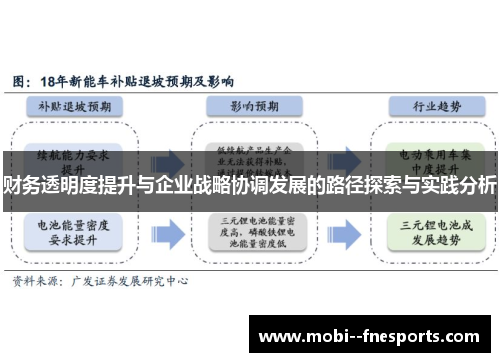 财务透明度提升与企业战略协调发展的路径探索与实践分析