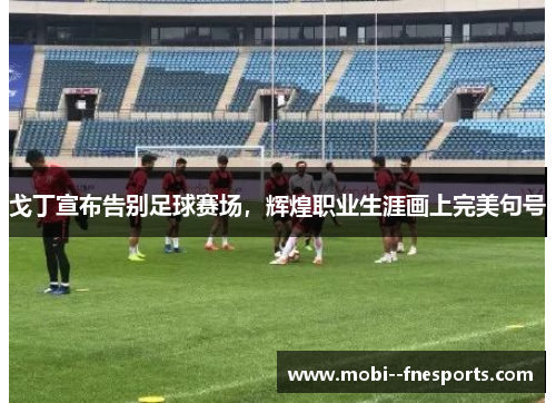 戈丁宣布告别足球赛场，辉煌职业生涯画上完美句号