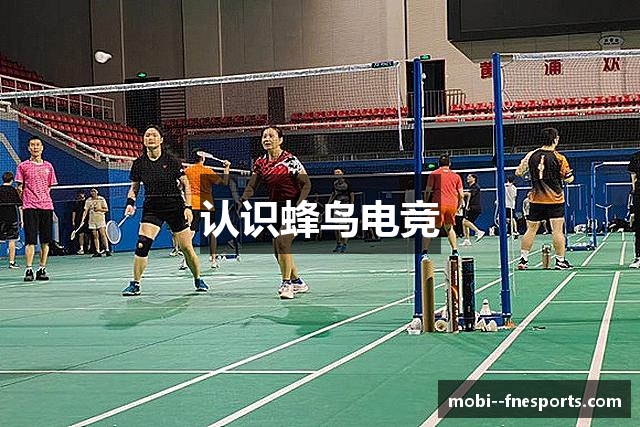 认识蜂鸟电竞